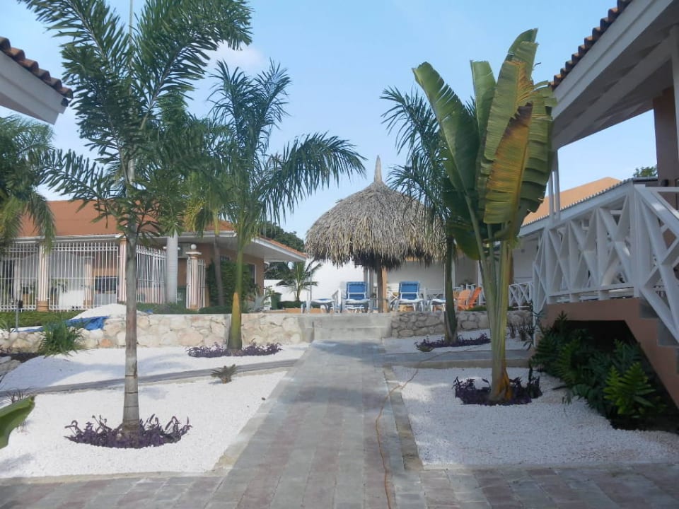 Curinjo apartments Curacao apartments Curinjo Apartments