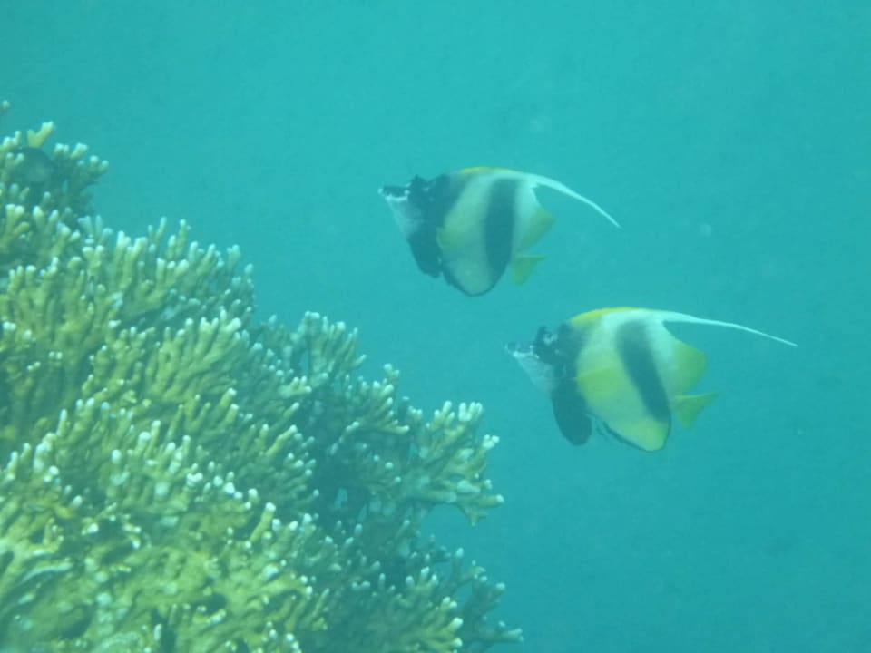 Riff Three Corners Equinox Beach Resort