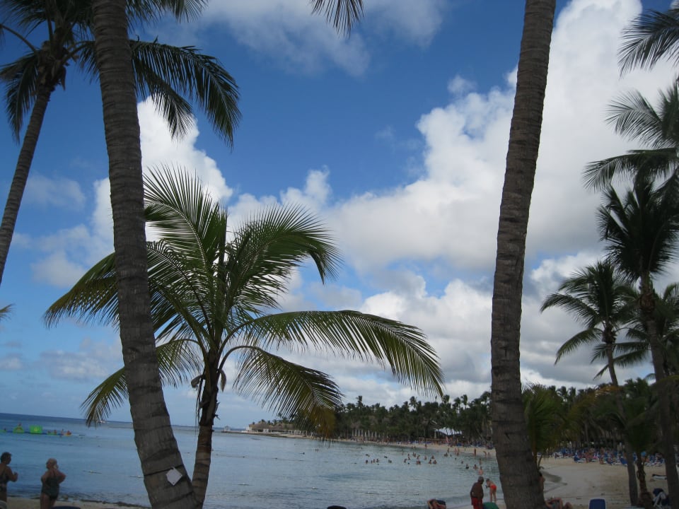 Strand Hotel Viva Dominicus Beach by Wyndham - All Inclusive Resort