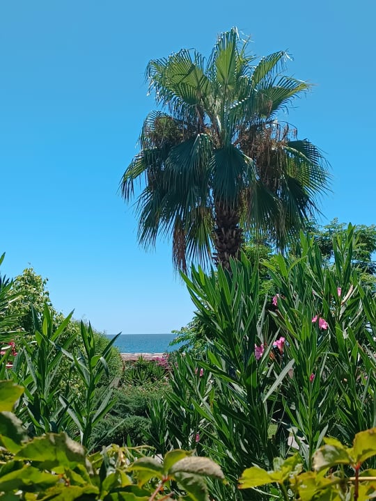 Gartenanlage Adalya Resort & Spa - Adults Only