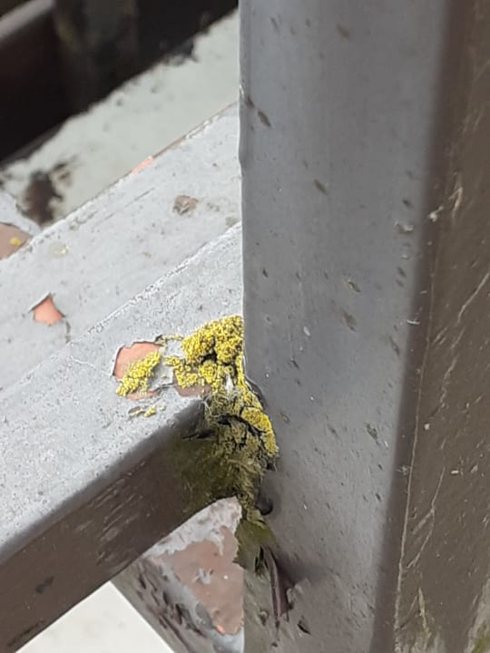 Gartenanlage Seehotel Leoni