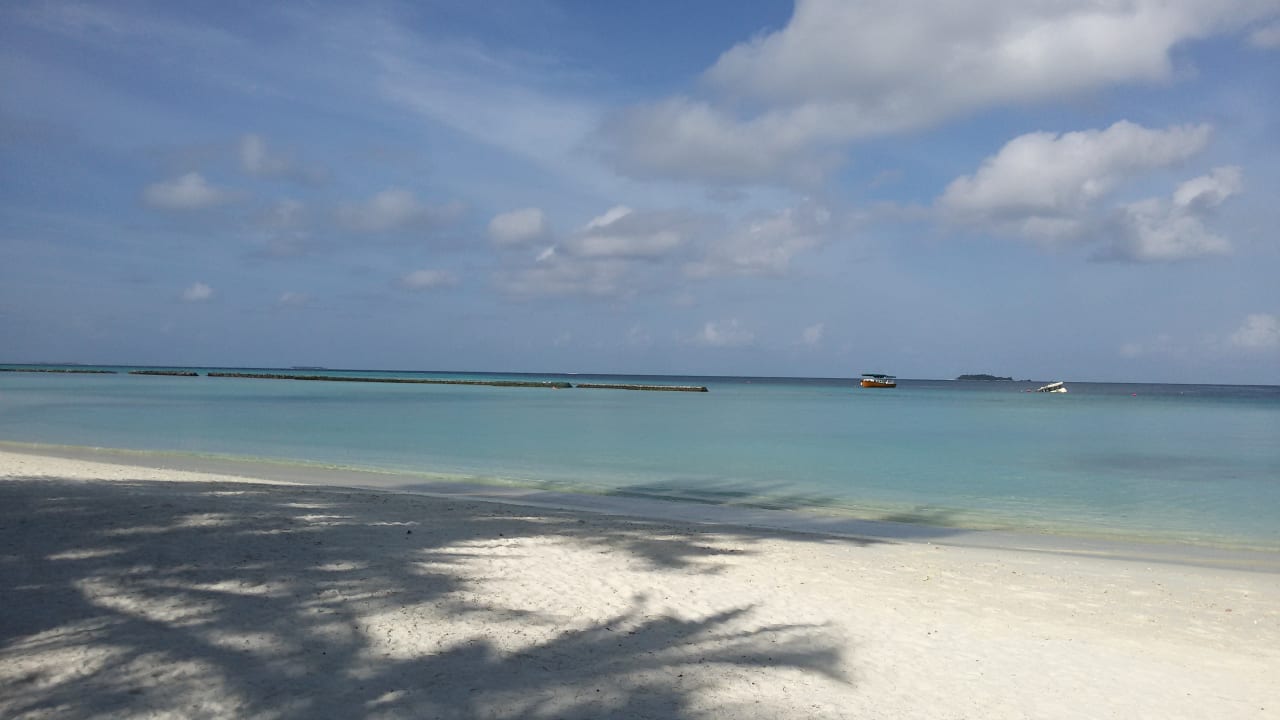 Strand Summer Island Maldives