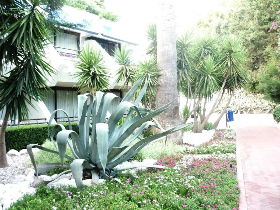 Garten Side Star Elegance