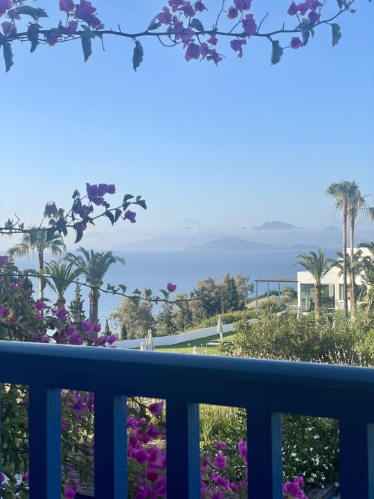 Ausblick ROBINSON DAIDALOS