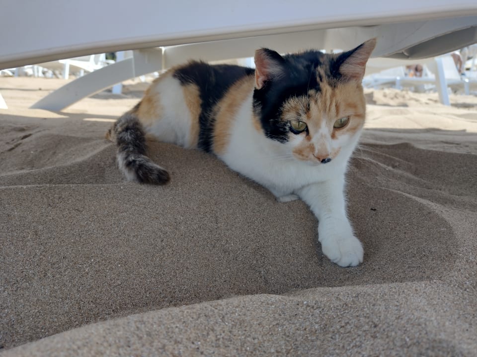 Sonstiges Seaden Quality Resort & Spa