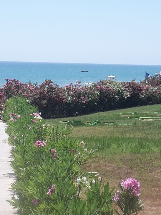 Strand Alba Queen Hotel