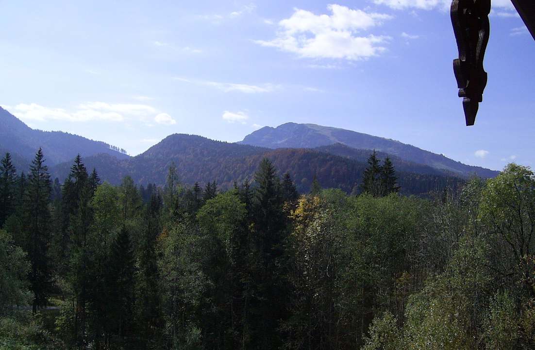  FeWo 4 - Südbalkon Haus am Schmiedweg