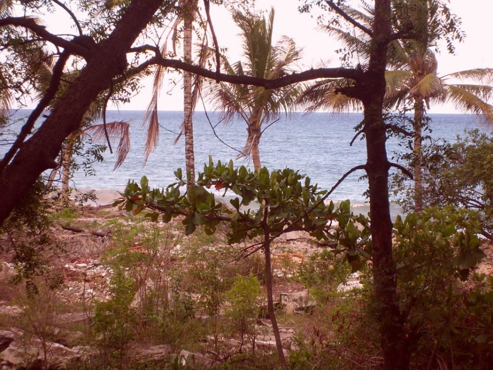 Meerblick vom Zimmereingang Diani Sea Resort