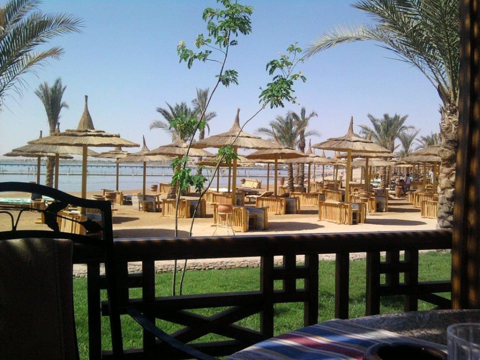 Ausblick Beach Albatros Resort