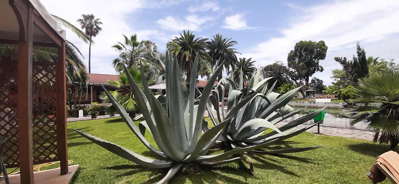 Gartenanlage Apartments Ambassador