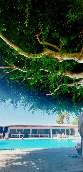 Pool Ilios K Village Resort