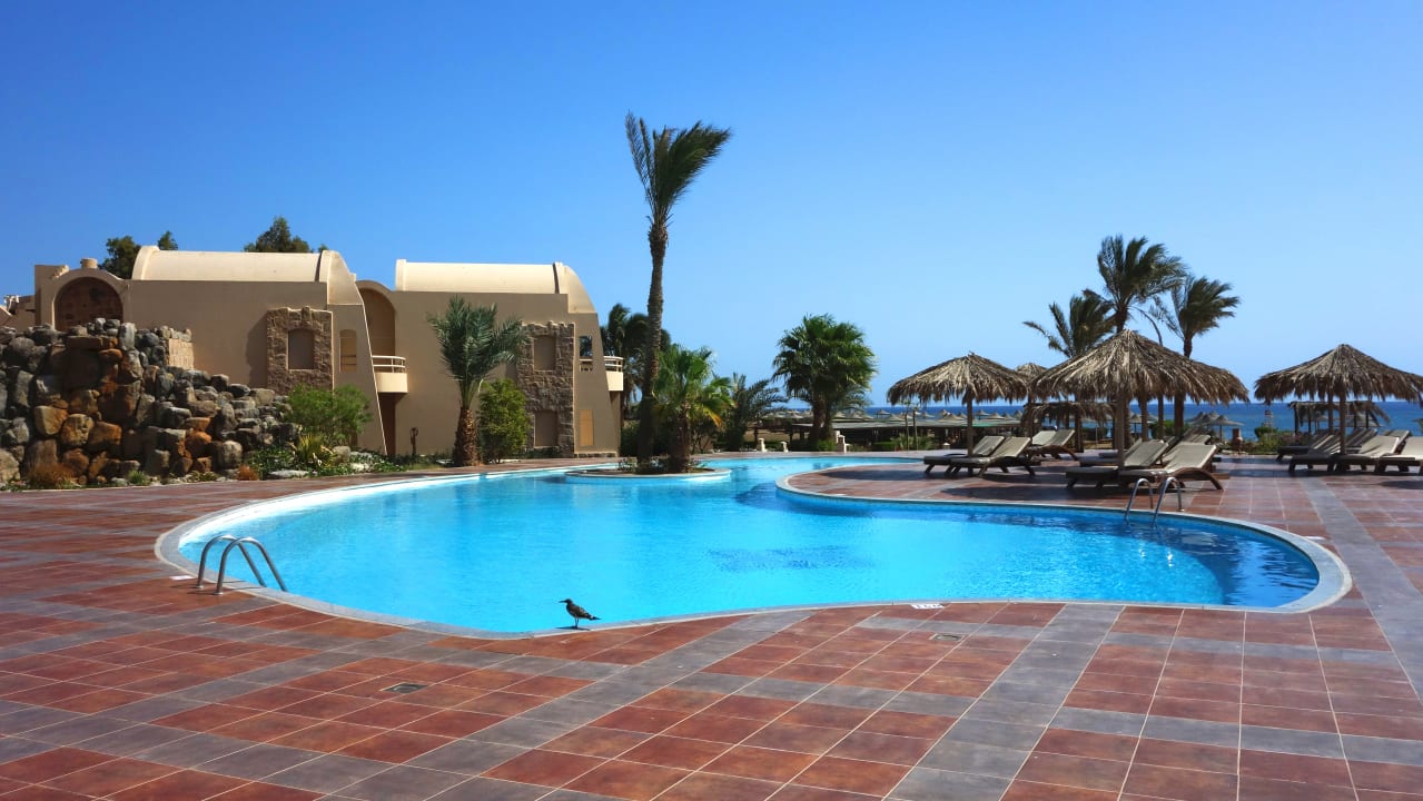 Pool Shams Alam Beach Resort