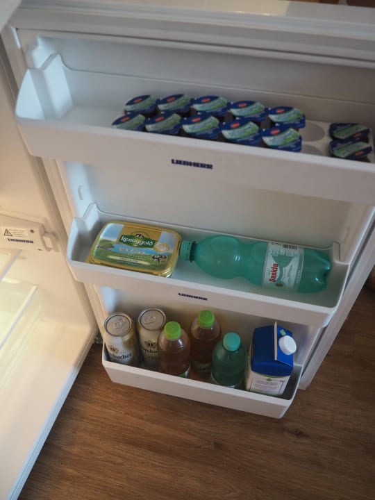 Zimmer Ruster Drachennest