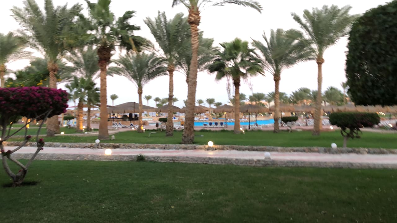 Gartenanlage Three Corners Sea Beach Resort