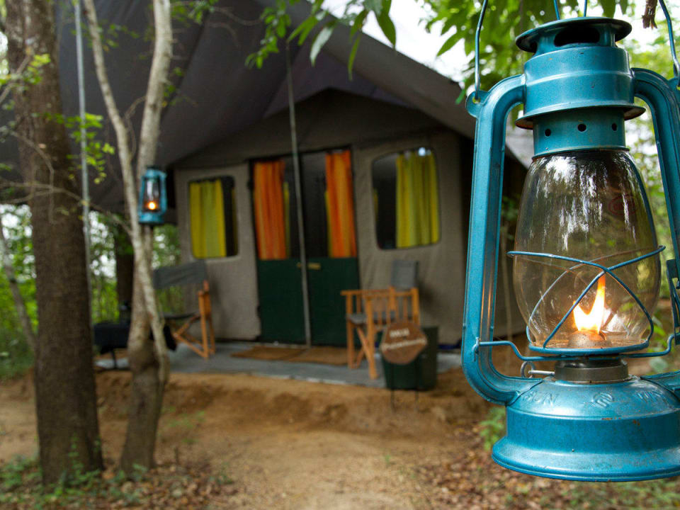 Tent Exterior View Mahoora Tented Safari Camp - Yala