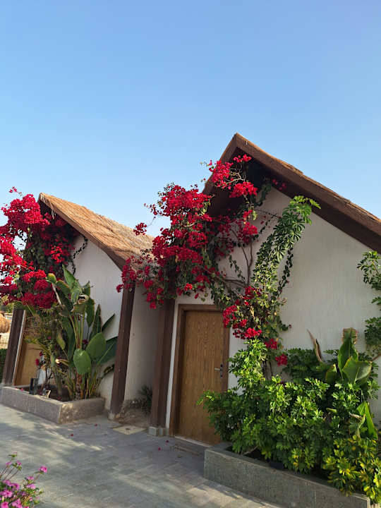 Zimmer Panorama Bungalows Resort El Gouna
