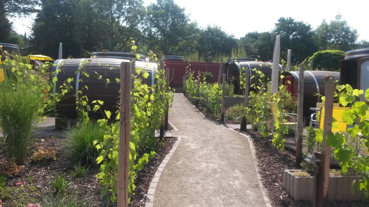 Weindorf Schwarzrinderseen Weindorf am Weinstrand