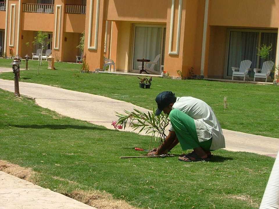 Gartenarbeit Sentido Caribbean World Soma Bay