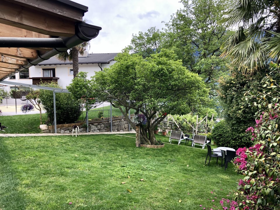 Gartenanlage Hotel Bellevue