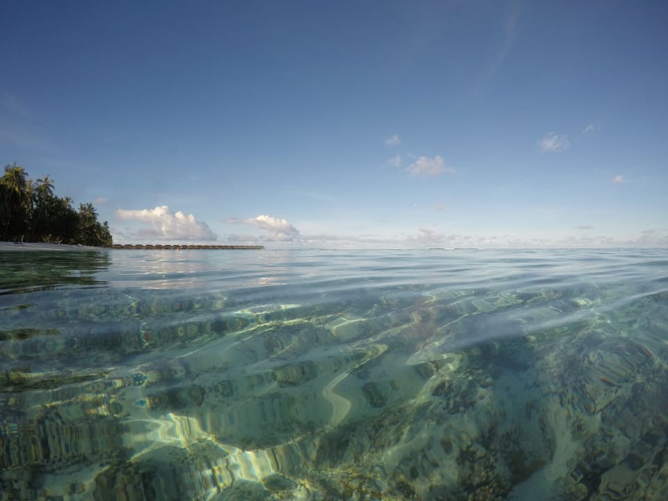 Strand Meeru Maldives Resort Island