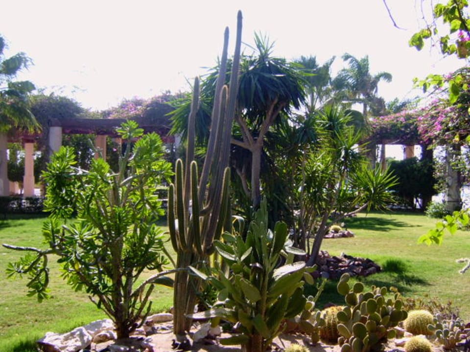 Garten ROBINSON SOMA BAY