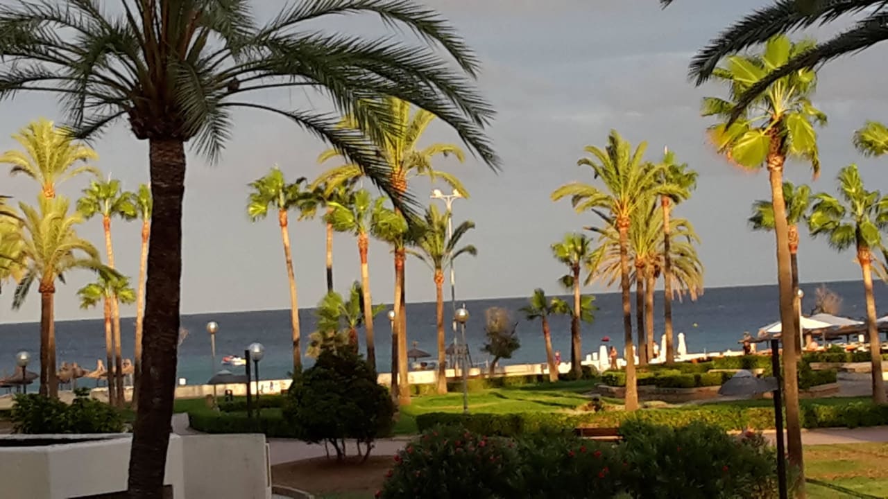 Blick zum Meer von der Terasse allsun Hotel Bahia del Este
