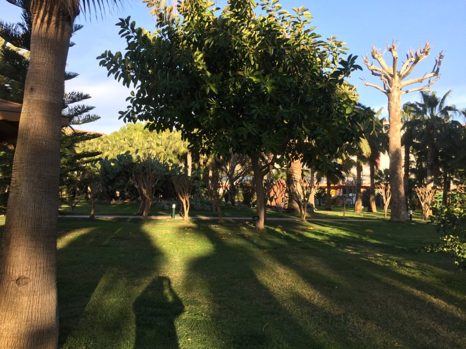 Gartenanlage Hotel Miramare Beach