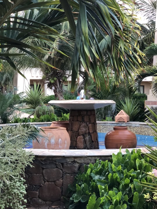 Gartenanlage Hotel Riu Touareg