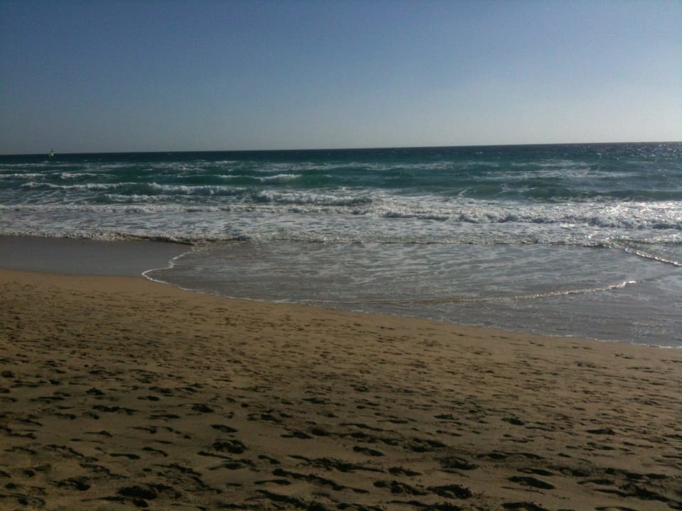 Wellen Monat  Occidental Jandía Playa