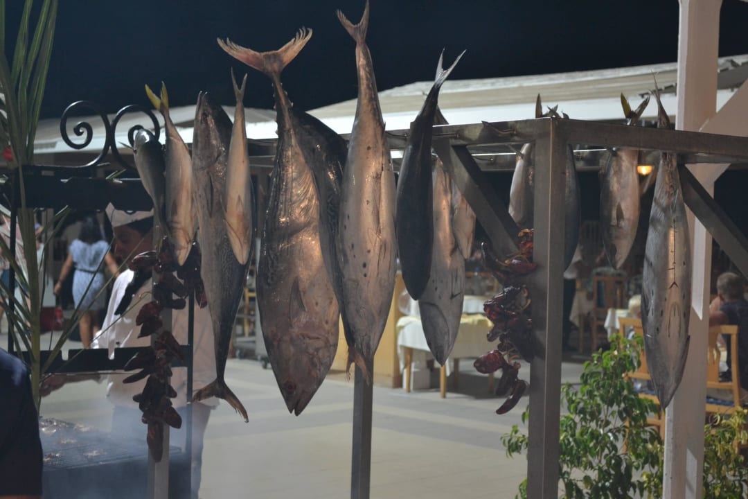 Djerba Hotel El Mouradi Djerba Menzel