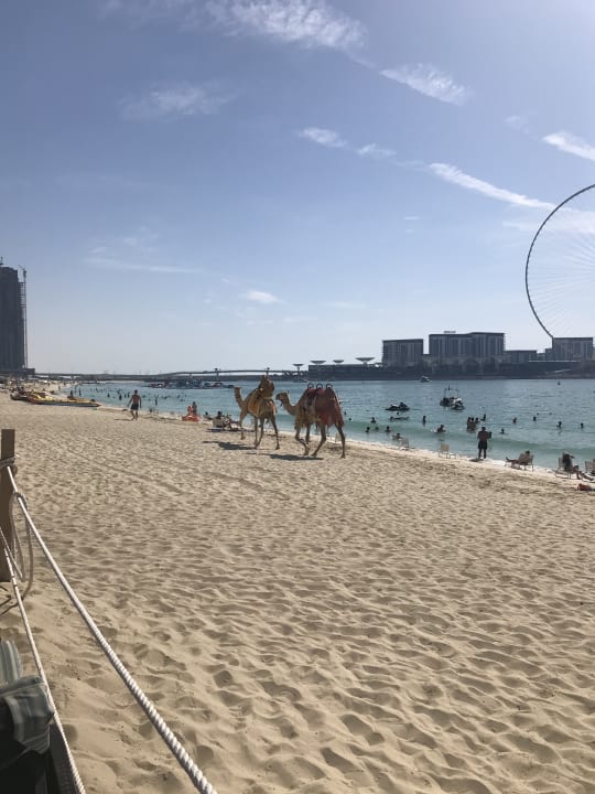 Strand Hilton Dubai Jumeirah