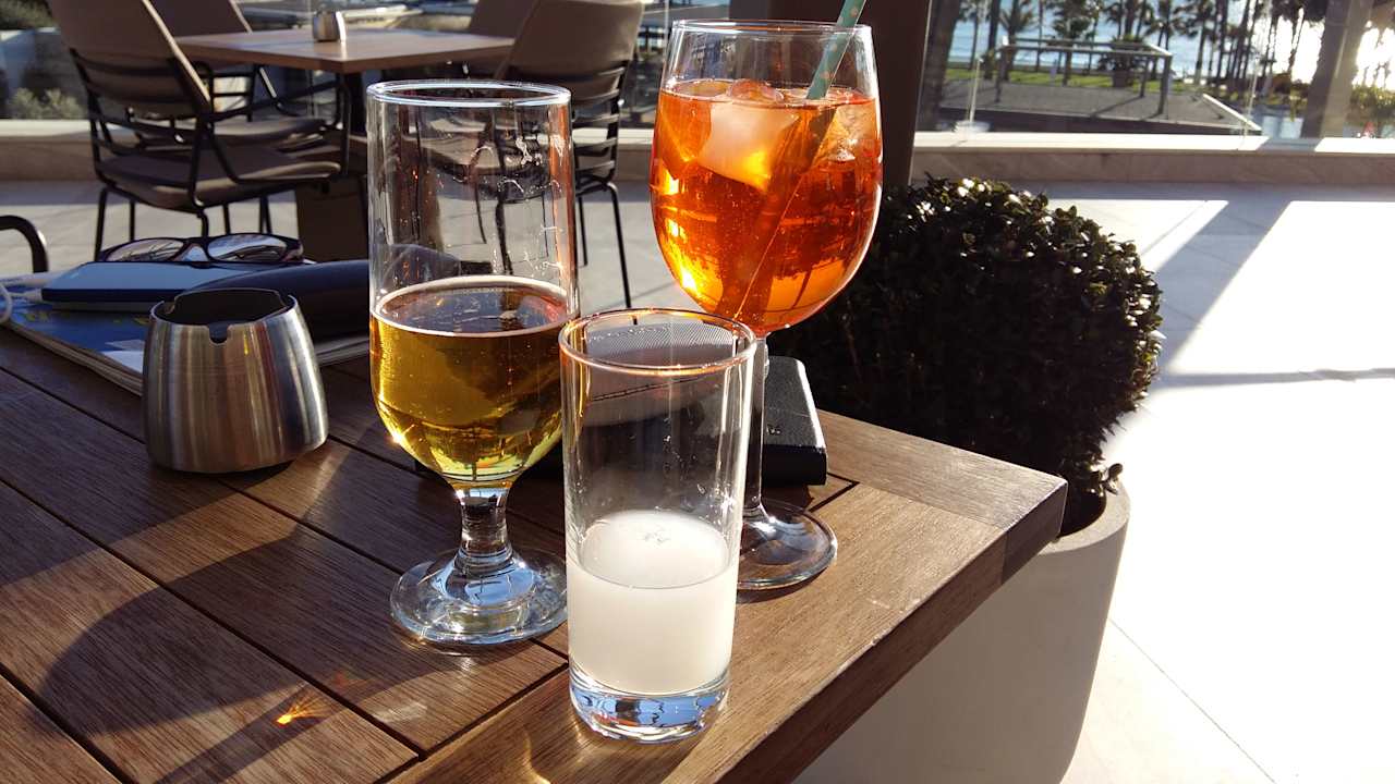 Gastro Acanthus Cennet Barut Collection