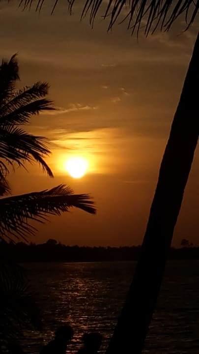 Außenansicht Samui Paradies Resort