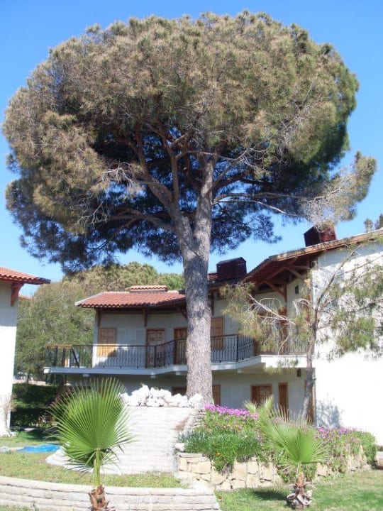 Hotelanlage Papillon Belvil Papillon Belvil