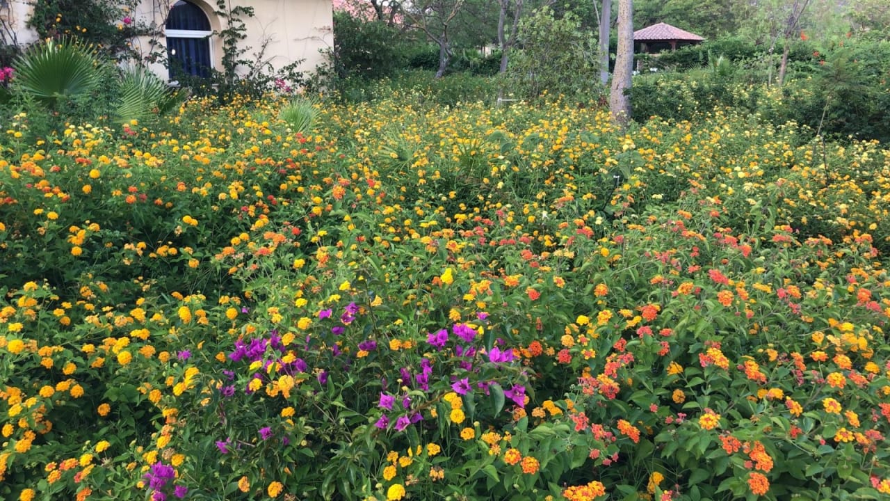 Gartenanlage TUI MAGIC LIFE Calabria