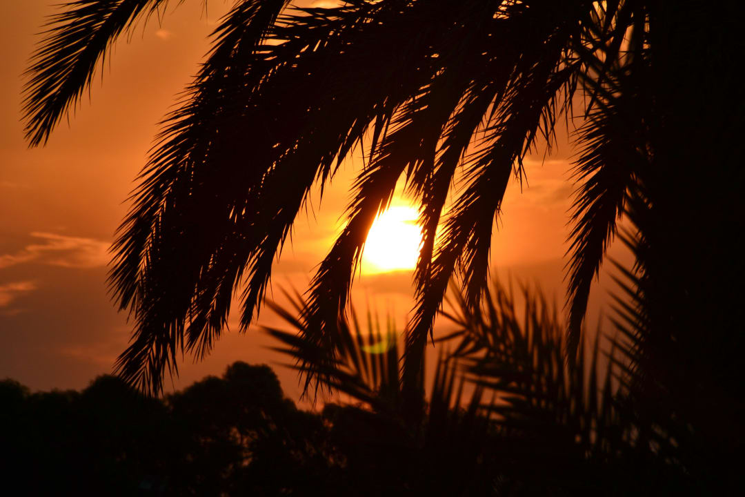 Herrlicher Sonnenuntergang Monarque Club Rivage