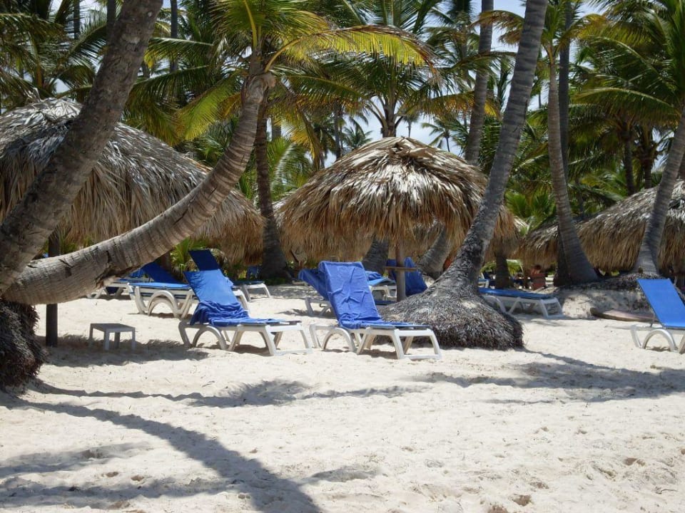 Strand und Liegen TRS Turquesa Hotel - Adults only