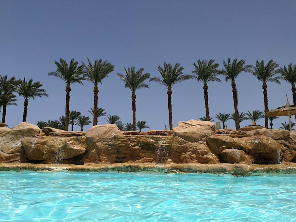 Pool Beach Albatros Resort