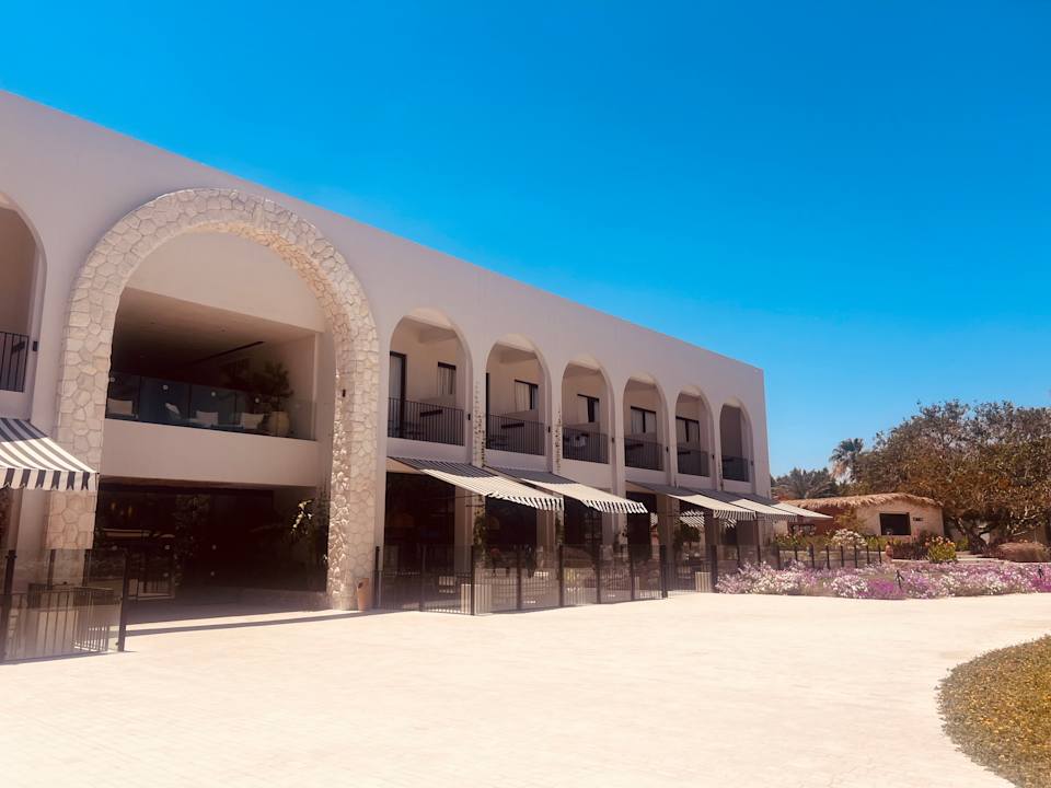 Gartenanlage Desert Rose