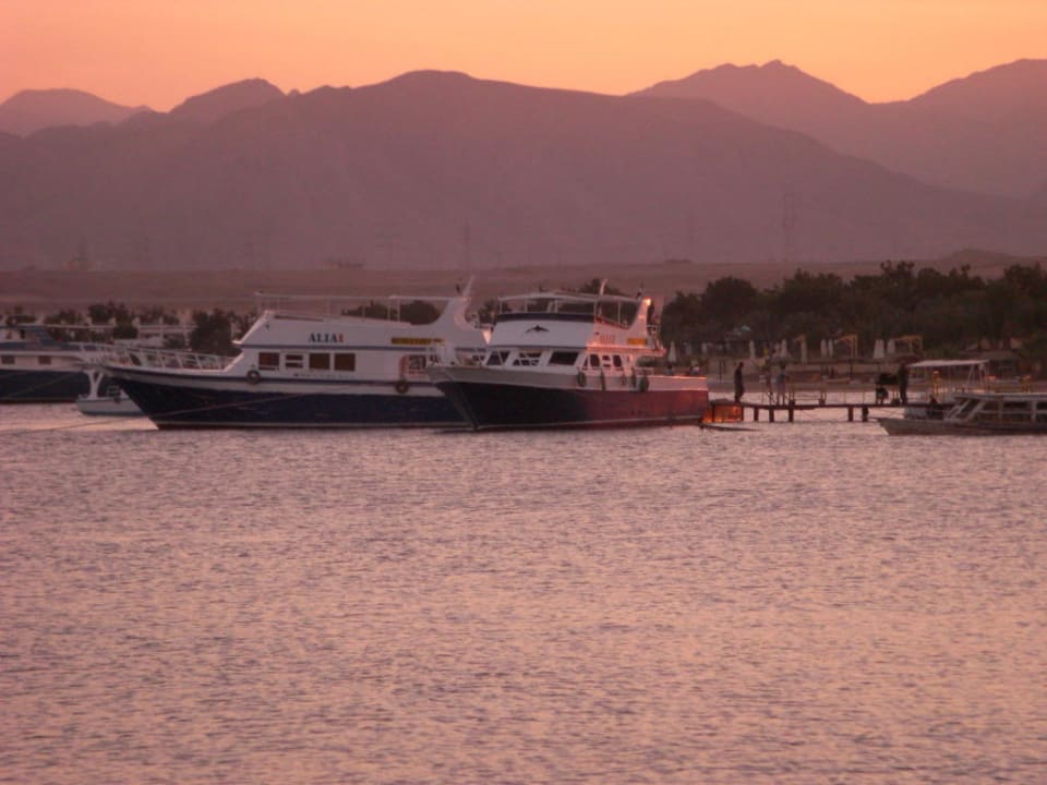 Blick aufs Meer Eagles Paradise Abu Soma