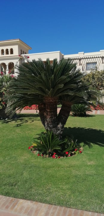 Gartenanlage JAZ Mirabel Beach