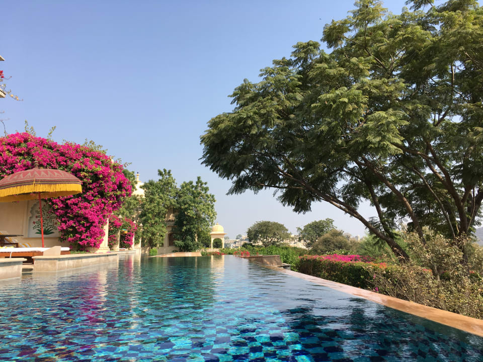 Pool The Oberoi Udaivilas Udaipur