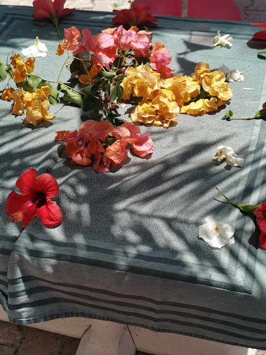 Sonstiges Hotel Nesrine