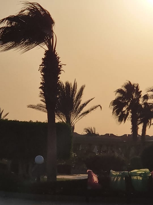 Gartenanlage Three Corners Happy Life Beach Resort