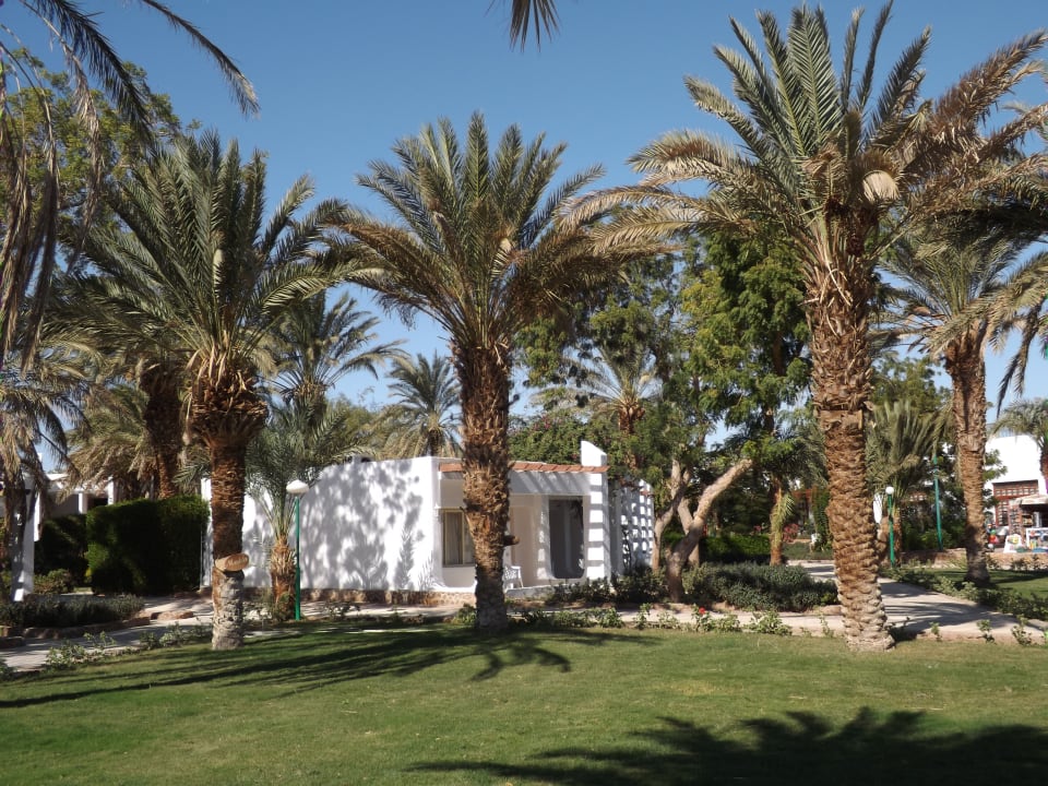 Garten Menaville Safaga
