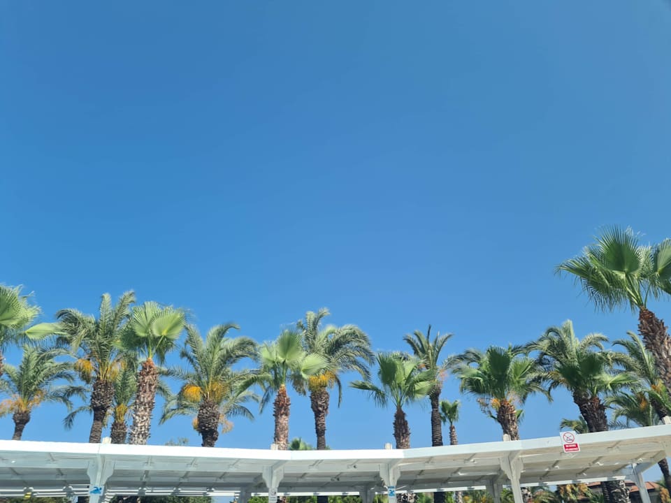 Gartenanlage Calimera Serra Palace