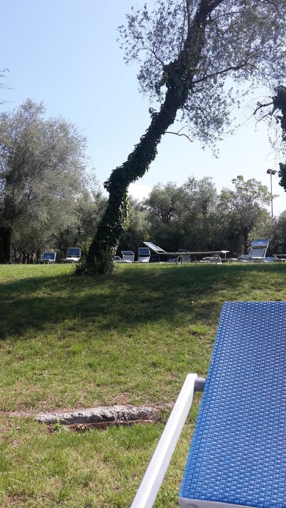 Liegewiese Hotel Marco Polo