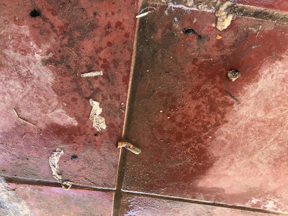 Sonstiges Marhaba Royal Salem