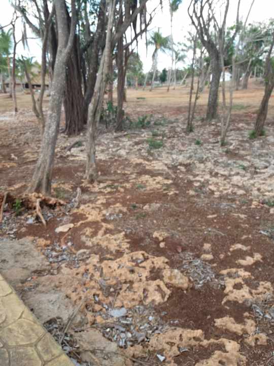 Gartenanlage Sirenis Tropical Varadero