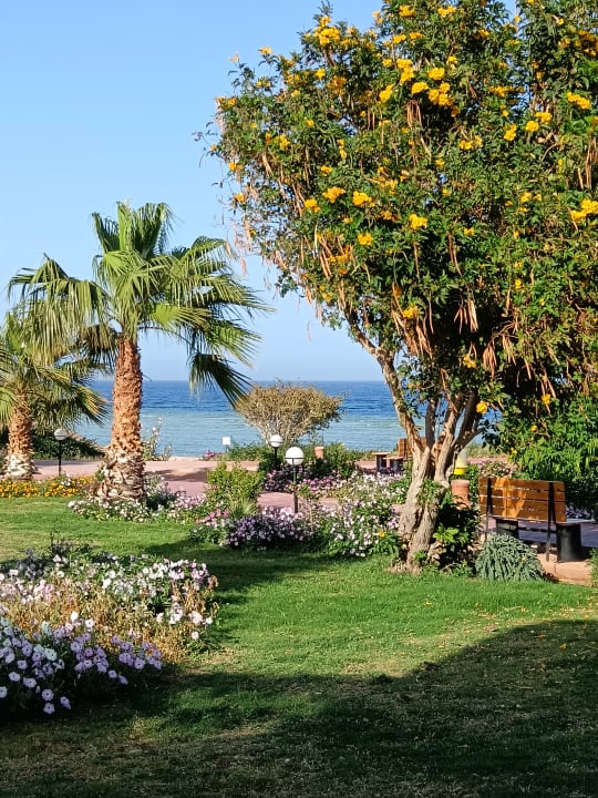 Gartenanlage Three Corners Equinox Beach Resort